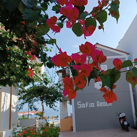 Sofia 4* Kávos