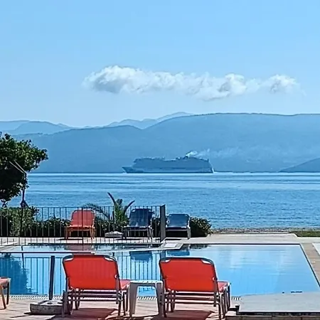 Sofia Kavos