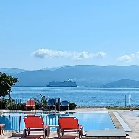 Sofia