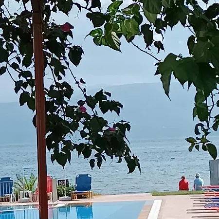 Sofia Kavos