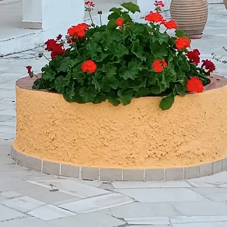 Apartahotel Sofia 4*