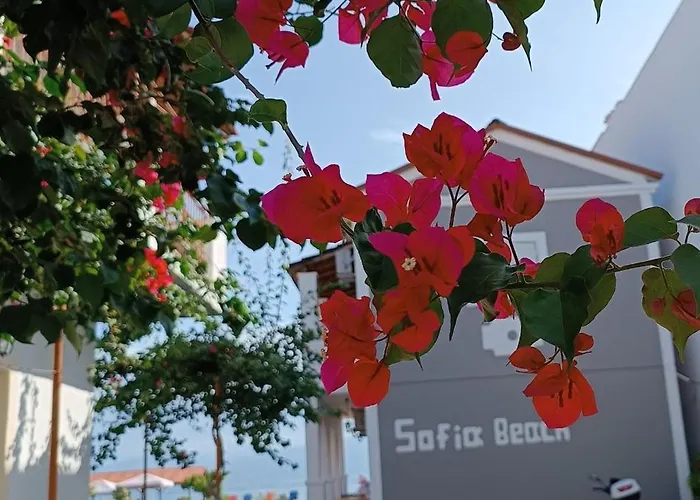 Sofia 4* 卡沃斯